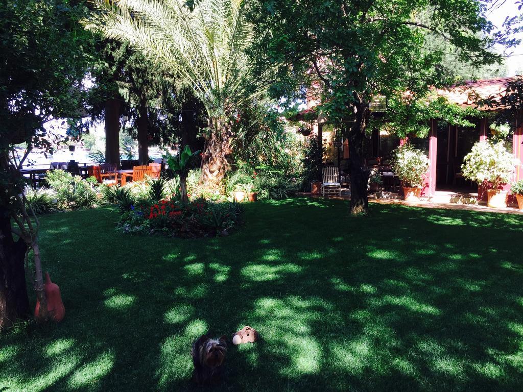 Hotel Happy Caretta Dalyan Exterior photo