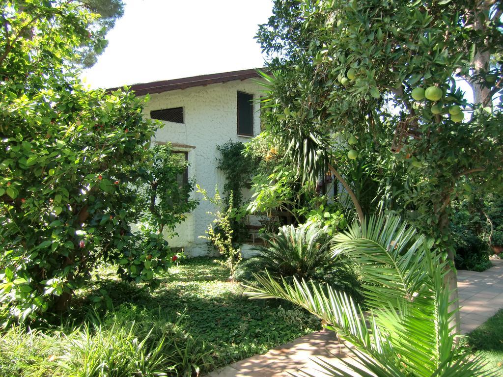 Hotel Happy Caretta Dalyan Exterior photo