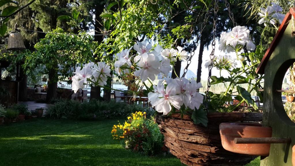 Hotel Happy Caretta Dalyan Exterior photo