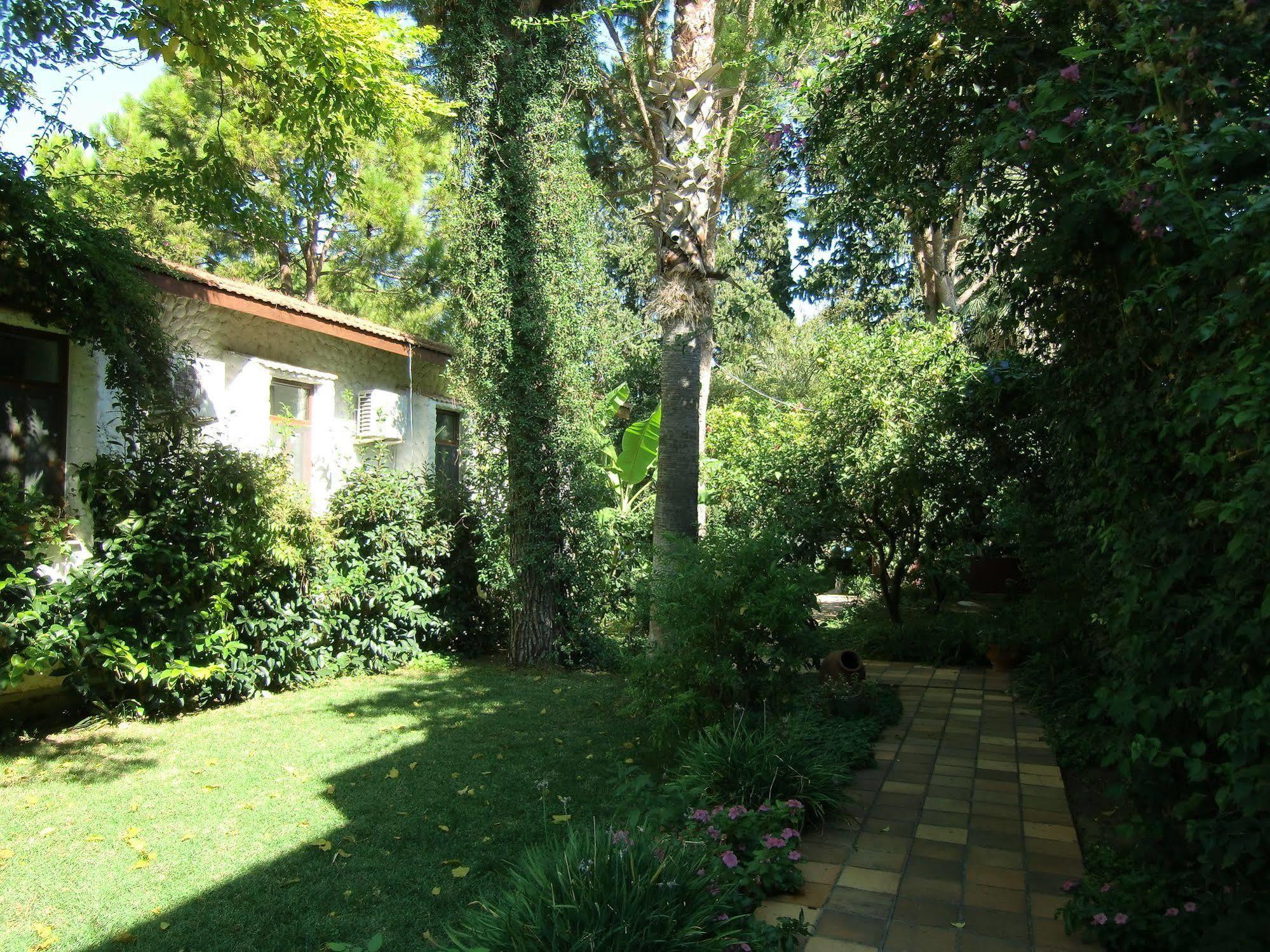 Hotel Happy Caretta Dalyan Exterior photo